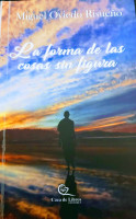 La forma de las cosas sin figura